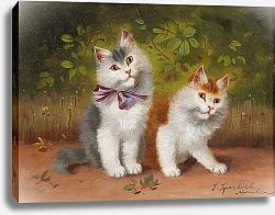 Постер Сперлих Софи Два котенка