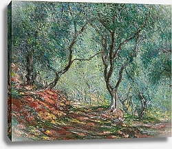 Постер Моне Клод (Claude Monet) Olive Trees in the Moreno Garden; Bois d'oliviers au jardin Moreno, 1884