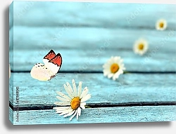 Постер Бабочка и цветы ромашки на деревянном полу