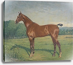 Постер Лемор Пауль Tableau représentant un cheval