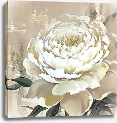 Постер Пион бежевый