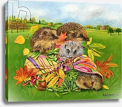 Постер Уоттс Э. (совр) Hedgehogs Inside Scarf, 2000