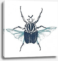 Постер Рисованный жук-голиаф