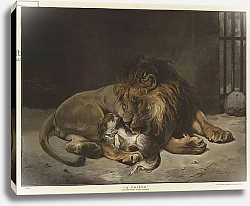 Постер A Friend