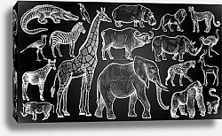 Постер Африканские животные и птицы на черном фоне