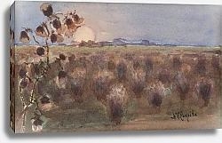 Постер Чепита Михаил Виктор Landscape with meadows