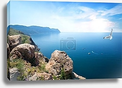 Постер Крым, чайка над морем