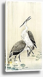 Постер Две цапли под дождем (1900 - 1910)