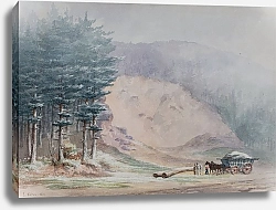 Постер Уолтон Элия Gravel Pit, Rednal