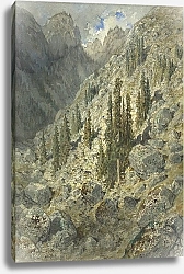 Постер Доре Гюстав An Alpine Valley with Trees and Boulders