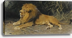Постер Кухнерт Уильям Lion In His Den