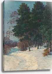 Постер Чордак Людовит Forest in winter