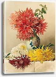 Постер Даффилд Уильям Chrysanthemums