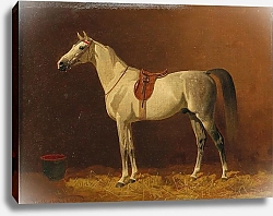 Постер Волкерс Эмиль Плесень в сарае