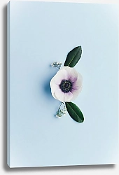 Постер Белый цветок на голубом
