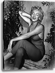 Постер Monroe, Marilyn 129