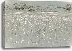 Постер Тома Ханс Луг с маргаритками