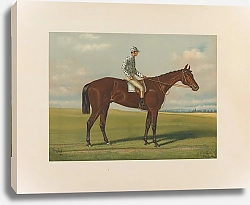 Постер Сталл Генри Фоксхол?