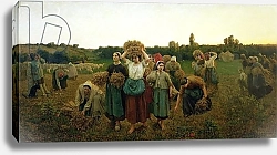 Постер Бретон Жюль Calling in the Gleaners, 1859