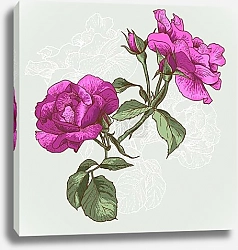 Постер Ярко-розовые розы с бутонами