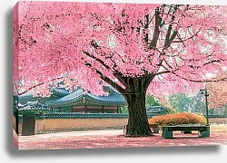 Постер Розовое дерево, Япония