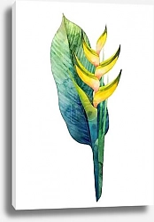 Постер Букет акварельной хеликонии