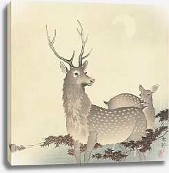 Постер Косон Охара Two Deer