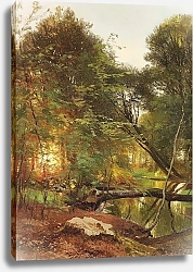 Постер Аагард Карл Бегущий по лесу, закат