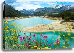 Постер Весенние цветы на горном озере