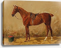 Постер Волкерс Эмиль Оседланный гнедой в конюшне