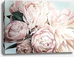 Постер Нежные пионы