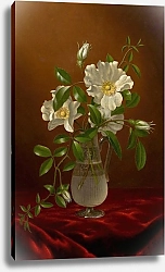 Постер Хид Мартин Джонсон Розы Чероки в стеклянной вазе