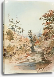 Постер Шевалье Николас Река Мангароа, долина Аппер-Хатт