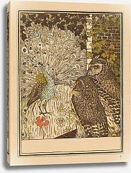 Постер Хойтема Тео Демонстрируя павлина и двух сов