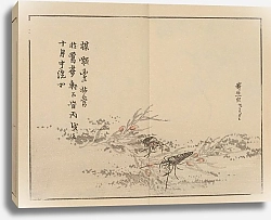 Постер Байрей Коно Байрей гафу, пл.75