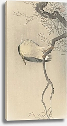 Постер Косон Охара Quack on whimsical branch