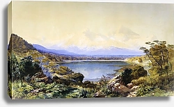 Постер Галли Джон Гора Кук