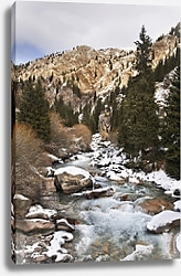 Постер Горная речка, Григорьево ущелье, Киргизия