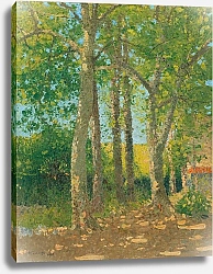 Постер Лауж Ашиль Paysage aux grands arbres