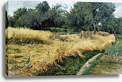 Постер Каллморген Фридрих Урожай овса Нойвайер