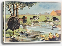 Постер Загорский Адам Józio Hałasik; bardzo dziwne bajeczki Pl.07