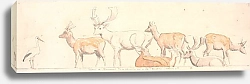 Постер Сковгаард П. С. Стая оленей и аист