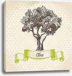 Постер Иллюстрация с оливковым деревом