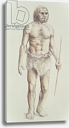 Постер Школа: Английская 20в. Neanderthal Man