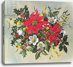 Постер Уильямс Альберт (совр) PB/274 Christmas Flowers
