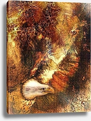 Постер Орел и мандала