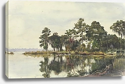 Постер Хаук Фриц Baumschlag am Wasser, Jacksonville, November 29, 1904
