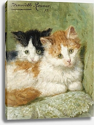 Постер Роннер-Нип Генриетта Two Kittens Sitting On A Cushion