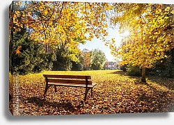 Постер Золотая осень на скамейке в парке
