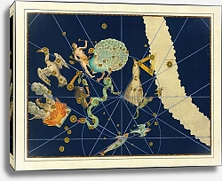 Постер Байер Иоганн Pavo